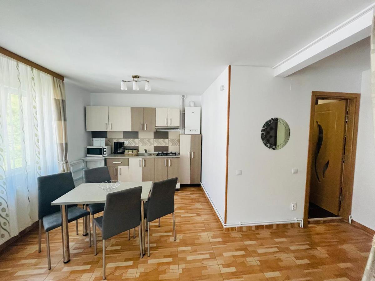 Garsoniera Family Apartment Busteni Luaran gambar