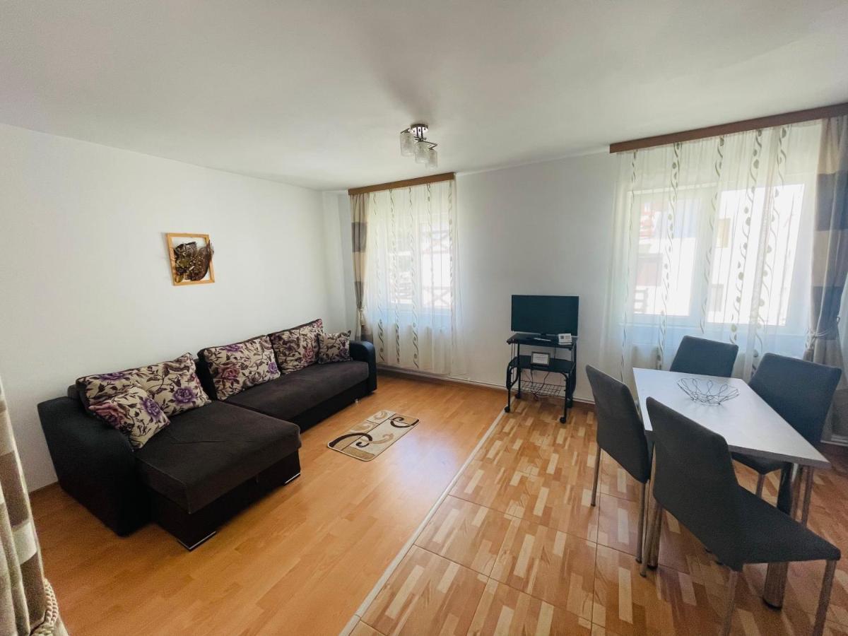 Garsoniera Family Apartment Busteni Luaran gambar