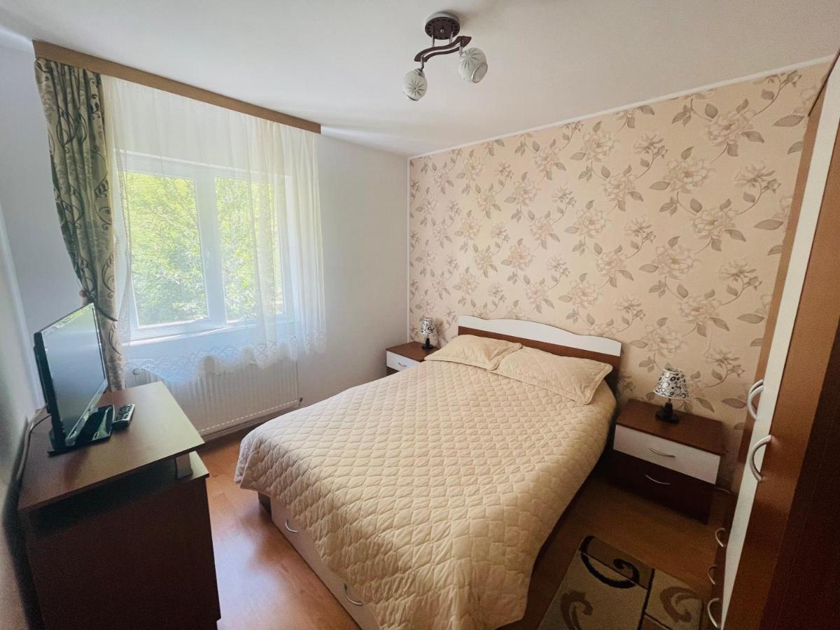 Garsoniera Family Apartment Busteni Luaran gambar