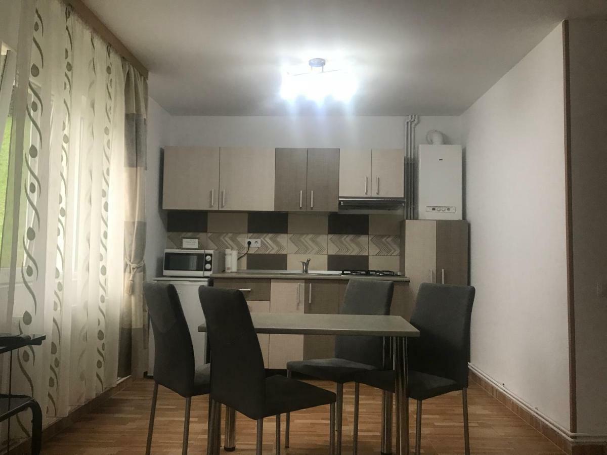 Garsoniera Family Apartment Busteni Luaran gambar