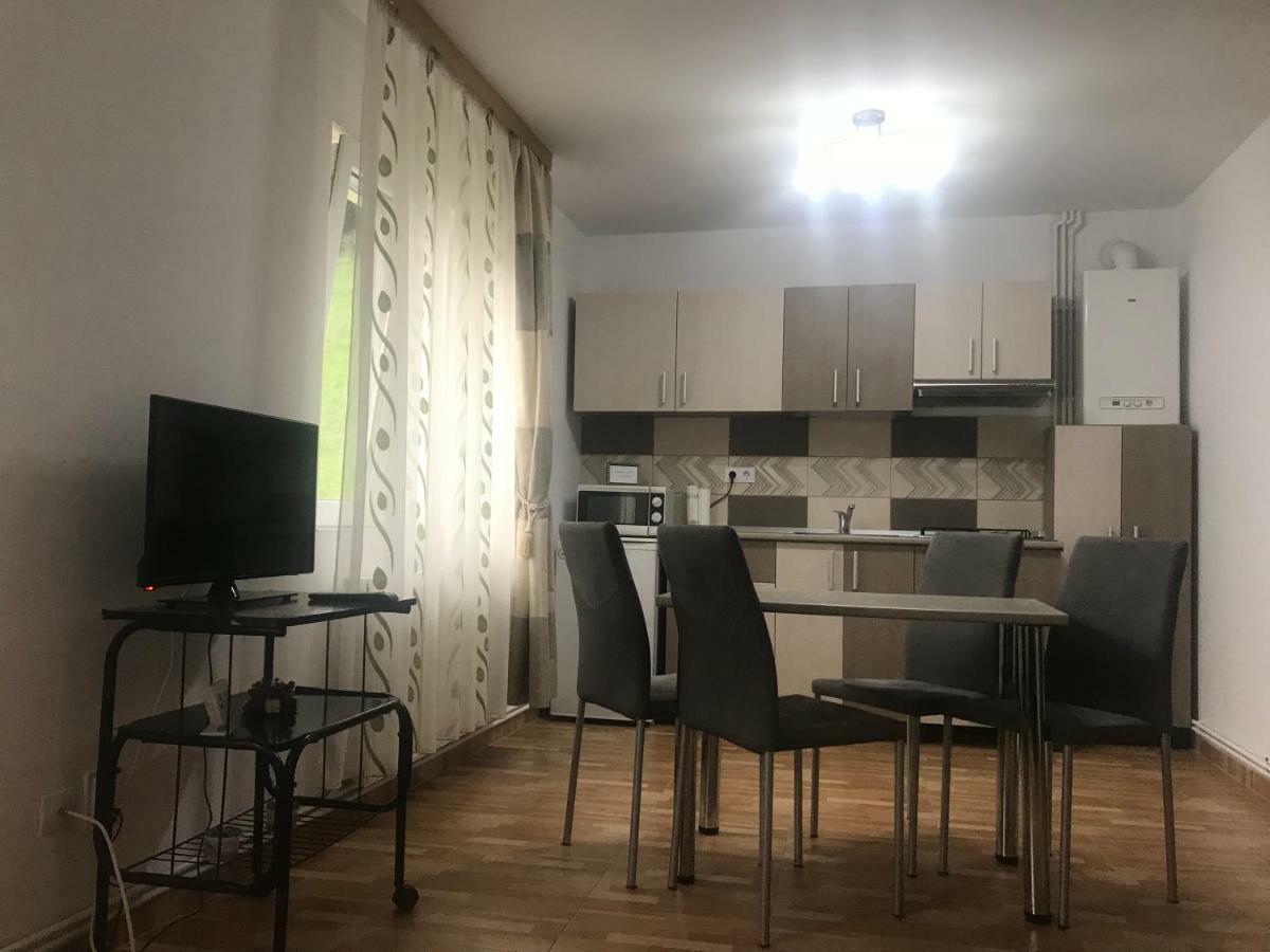 Garsoniera Family Apartment Busteni Luaran gambar
